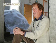 L'inverno delle mucche